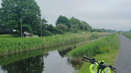 Athy group dedicated to protecting local waterways
