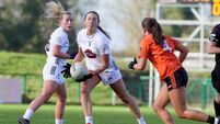 Armagh take the points home after clinical display