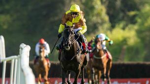 <p>Galopin Des Champs goes in search of a fourth successive Irish Gold Cup today Photo: ©INPHO/Morgan Treacy</p> <p>Galopin Des Champs goes in search of a fourth successive Irish Gold Cup today Photo: ©INPHO/Morgan Treacy</p>