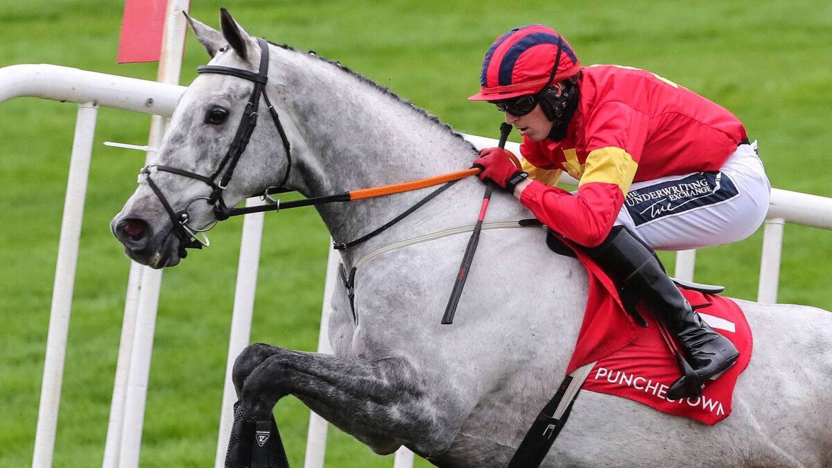 Punchestown Racecourse: preview and tips for Wednesday’s seven-race card