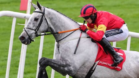 Punchestown Racecourse: preview and tips for Wednesday’s seven-race card