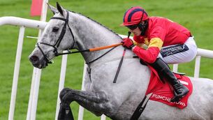 <p>Keith Donoghue rides the spectacular grey horse Vanillier at Punchestown today Photo: ©INPHO/Caroline Norris</p>