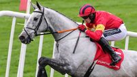 Punchestown Racecourse: preview and tips for Wednesday’s seven-race card 