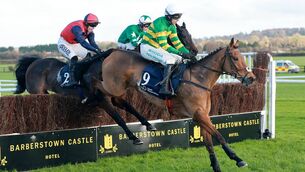 <p>Mark Walsh continued his good form of form and a win on Crecora Hills was part of a double at Punchestown on Wednesday Photo: ©INPHO/Bryan Keane</p>
