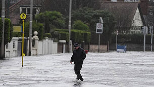 Over half of Irish employees believe there will be a 'catastrophic' cybersecurity incident this year