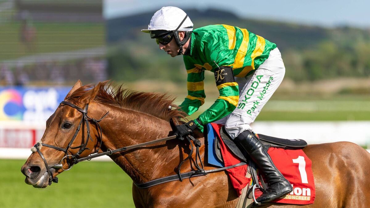 Naas Racecourse: Preview and Tips for Saturday’s Seven-Race Card