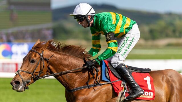 Naas Racecourse: Preview and Tips for Saturday’s Seven-Race Card 