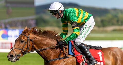 Naas Racecourse: Preview and Tips for Saturday’s Seven-Race Card 