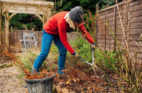 Living Greener: February provides opportunities for gardeners