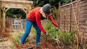 Living Greener: February provides opportunities for gardeners