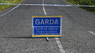 Court allows Denis O'Brien to add John Does to defamation action over fake ads