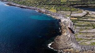 Woman (30s) arrested in relation to fatal Tallaght stabbing