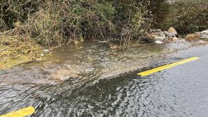 Consultant appointed to address flooded Athy road