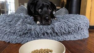 What the papers say: Wednesday's front pages