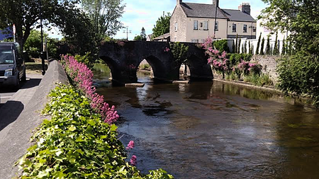 Appeal after girl (11) allegedly followed home by man in balaclava in Meath