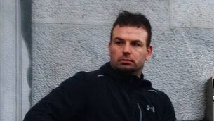 US man pleads not guilty by reason of insanity to father’s murder at Ballyfin Demesne