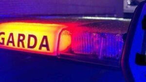 Off-duty garda saw cars driving erratically