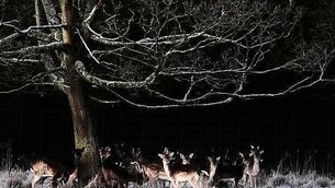 €30m price tag: State offers to buy houses from Dublin residents for MetroLink