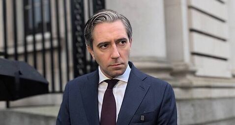 Too many offenders given short sentences for ‘heinous crimes’, Tánaiste says