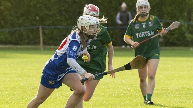 League final is the aim for ambitious new camogie manager