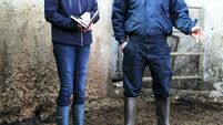 Farm inspections in Co Kildare announced