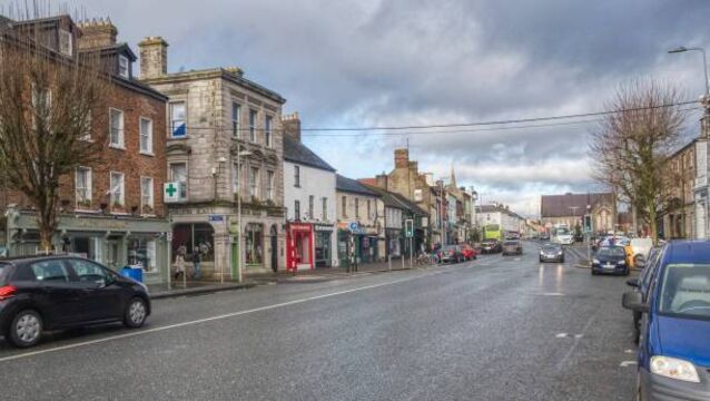 <p>Parts of Naas "are getting destroyed" by low quality signs</p>