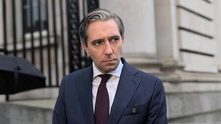 Tánaiste urges anyone with information relating to Epstein to 'go to the Garda'