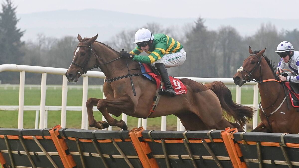 Gowran Park: Preview and Tips for Saturday’s Eight-Race Meeting