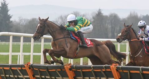 Gowran Park: Preview and Tips for Saturday’s Eight-Race Meeting