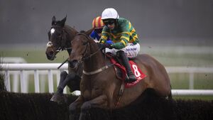 Punchestown Racecourse: Preview and Tips for Sunday’s Eight-Race Meeting