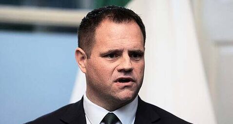 Sinn Féin MEPs have 'abandoned Ukraine', Minister says