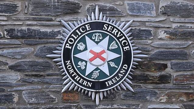 Appeal issued after shots fired through home in Derry