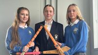 Kildare students qualify for calf rearing finals  