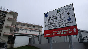 Over 300 dogs given up after Christmas as charity urges people to consider if they are 'dog ready' Over 300 dogs given up after Christmas as charity urges people to consider if they are 'dog ready'