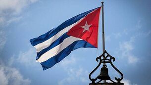 Man handed lifetime ban after ‘depraved’ abuse of pet husky