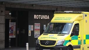 ‘Only for bad luck, he’d have no luck’: Meath family’s blind dog Alfie wins award