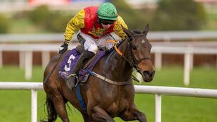 <p>Cousin Kate is out in action at Punchestown Photo: ©INPHO/Morgan Treacy</p>