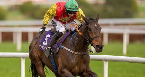 Punchestown Racecourse: Preview and tips for Wednesday’s Seven-Race Meeting 