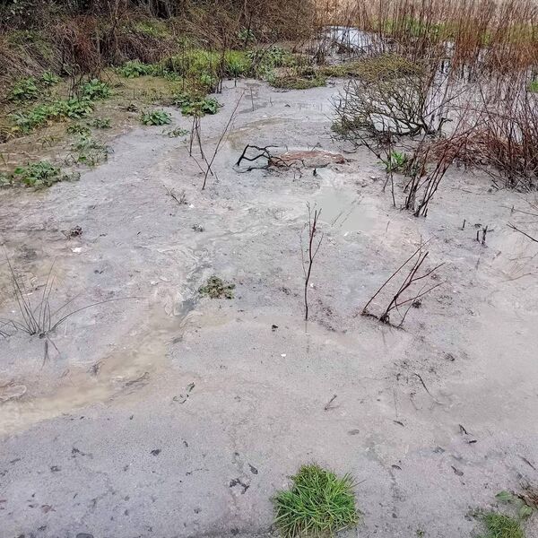 The overflow of sewage The overflow of sewage