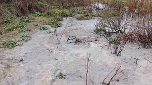 'Tennis court-sized' sewage pool next to Kildare estate