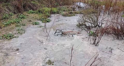 'Tennis court-sized' sewage pool next to Kildare estate