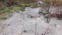 'Tennis court-sized' sewage pool next to Kildare estate
