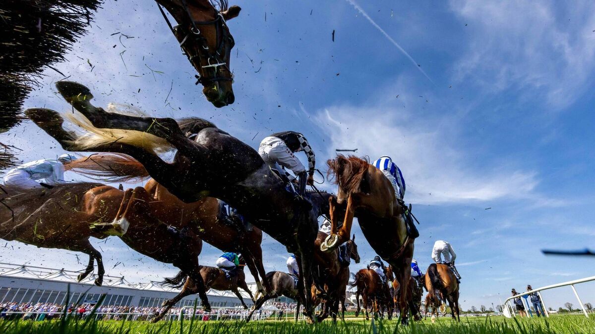 Grainne A Chroi claims the big honours in Grade 3 Quevega Mares Hurdle