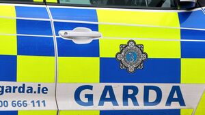 Motorist arrested in Kildare after driving 116kph in 60kph zone