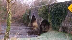Repairs coming to damaged Kildare bridge