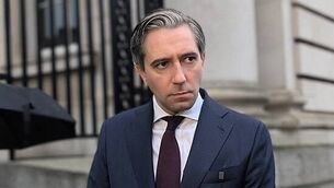 Diarmuid Phelan trial: Witness says he saw law professor shooting ‘towards man but in the air’ Diarmuid Phelan trial: Witness says he saw law professor shooting ‘towards man but in the air’