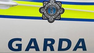 Gardaí remove 52 individuals from the State including seven children Gardaí remove 52 individuals from the State including seven children