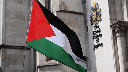 Public called for Taoiseach to intervene in Palestine Action hunger strikes