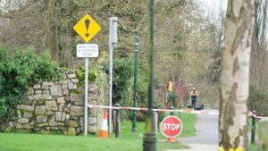 Emergency response in Athy following report of person in river