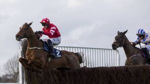 <p>Blood Destiny and Paul Townend wins the Grade 3 William Hill Chase at Naas Photo: Patrick McCann/Racing Post </p> <p>Blood Destiny and Paul Townend wins the Grade 3 William Hill Chase at Naas Photo: Patrick McCann/Racing Post </p>